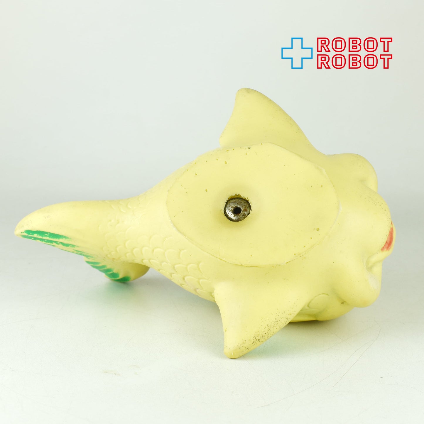 緑のヒレの金魚 ラバードール スクイーク