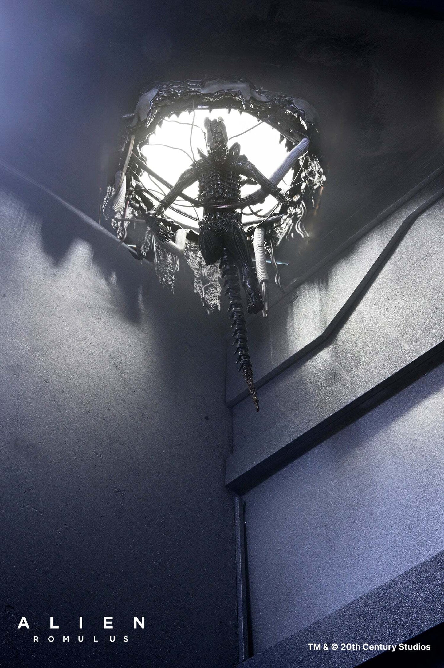 ネカ エイリアン ロムルス ゼノモーフ XX121 サスペンデッド・ラボ DX 7インチ アクションフィギュア 未開封