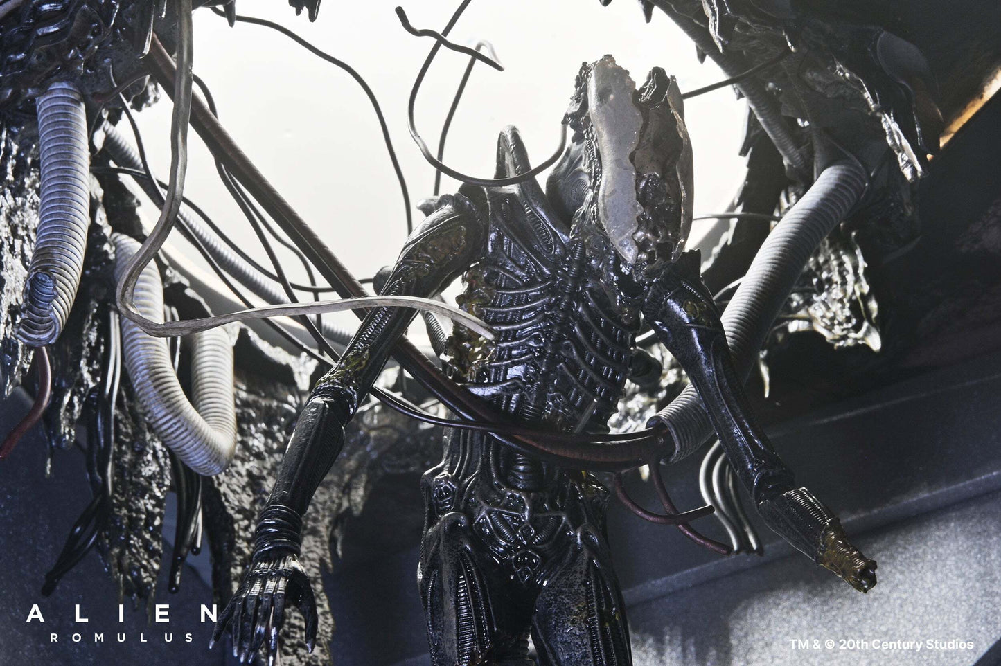 ネカ エイリアン ロムルス ゼノモーフ XX121 サスペンデッド・ラボ DX 7インチ アクションフィギュア 未開封