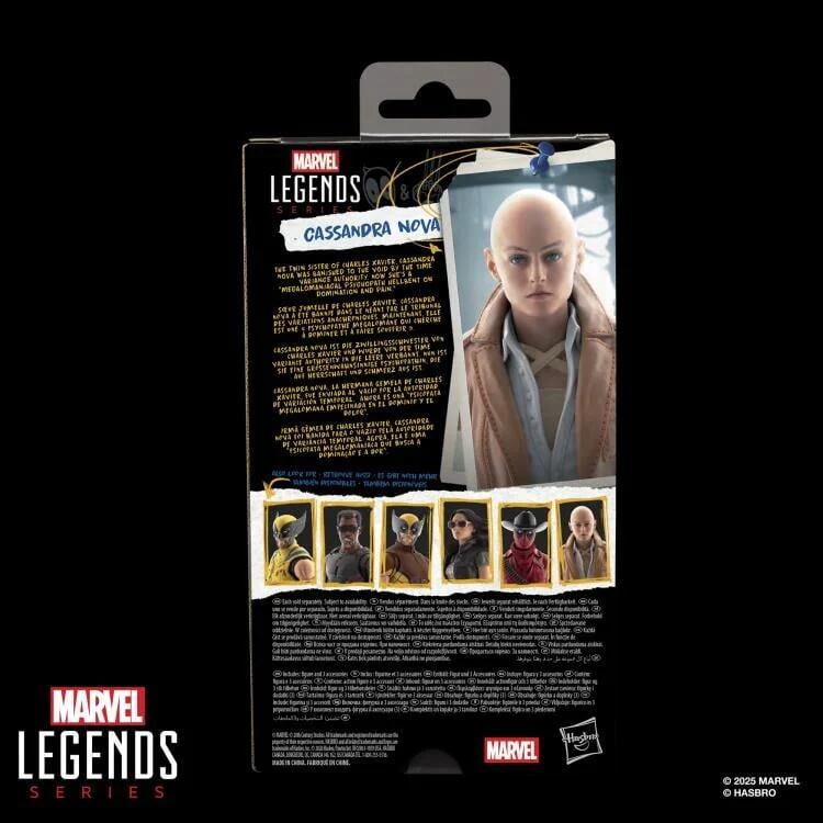 マーベルレジェンド MCUシリーズ デッドプール ＆ ウルヴァリン カサンドラ・ノヴァ 6インチ アクションフィギュア 未開封