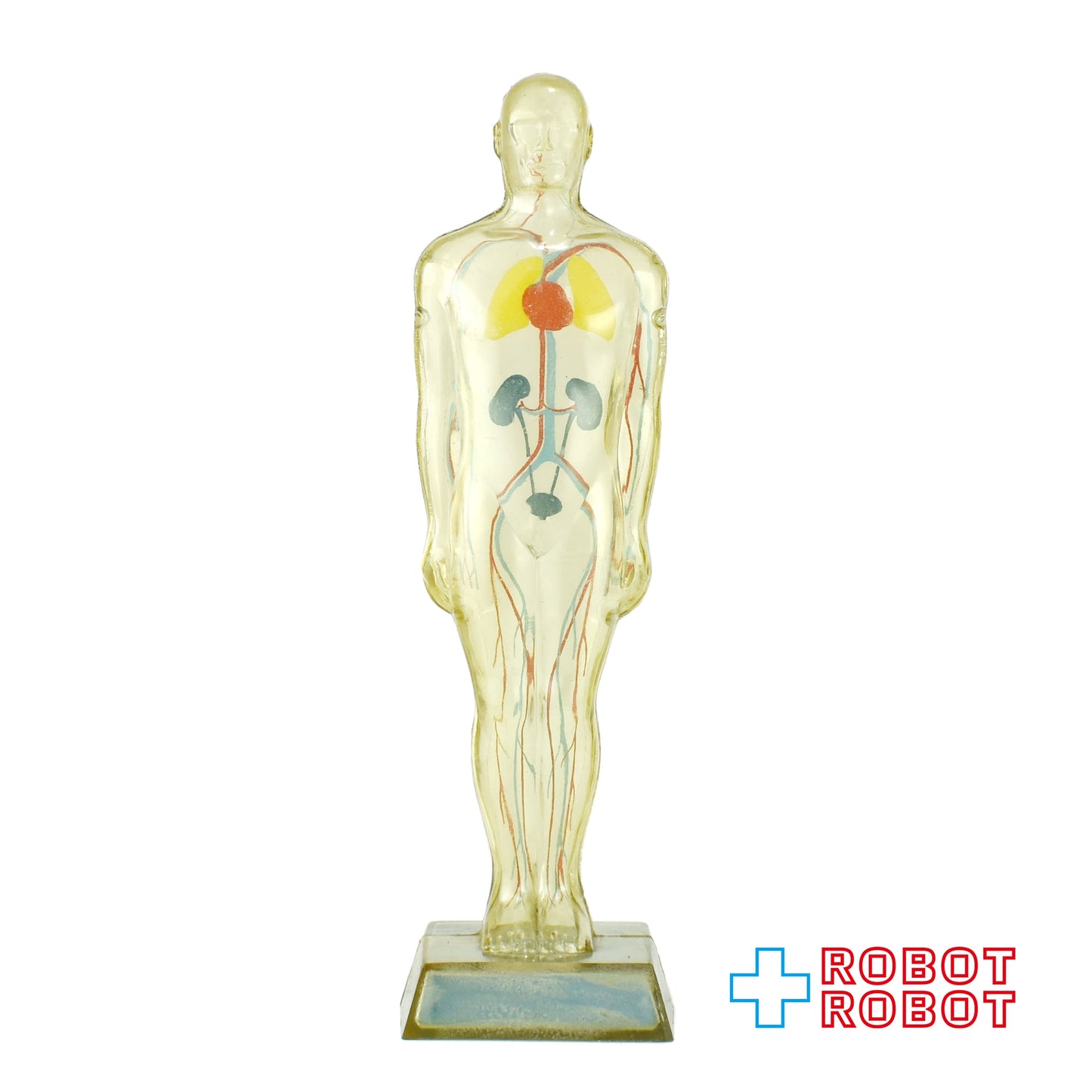 メルクアンドカンパニー DIURIL クリア人体模型 血管有りver アドバタイジング ディスプレイ フィギュア 1959