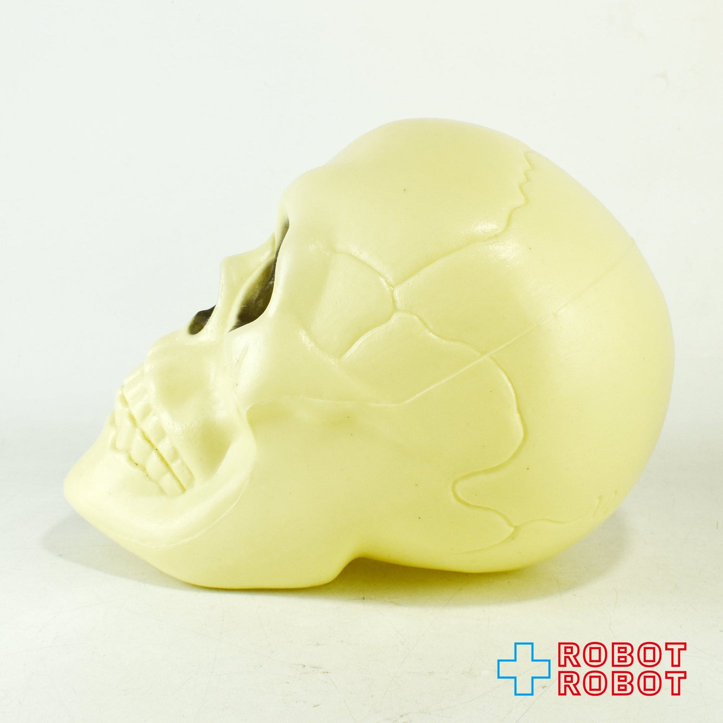 ガイコツ 頭蓋骨 スカル プラスチック フィギュア