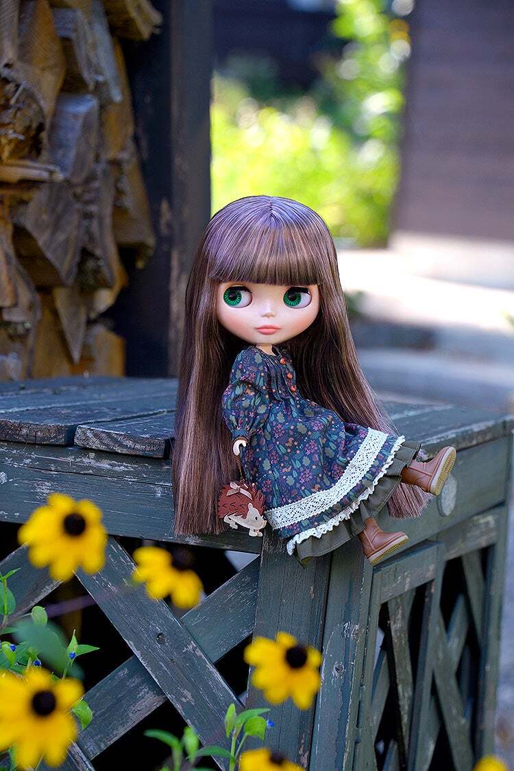 グッドスマイルカンパニー ネオブライス ヘッジホッグのヘーゼル アクションドール 未開封