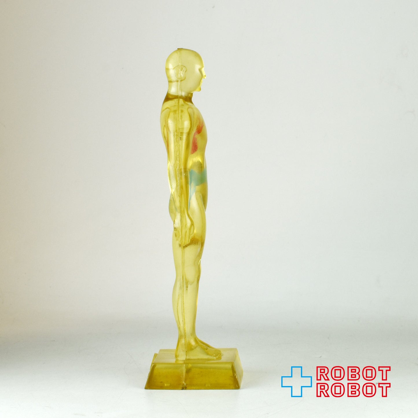 メルクアンドカンパニー DIURIL クリア人体模型 アドバタイジング ディスプレイ フィギュア 1958