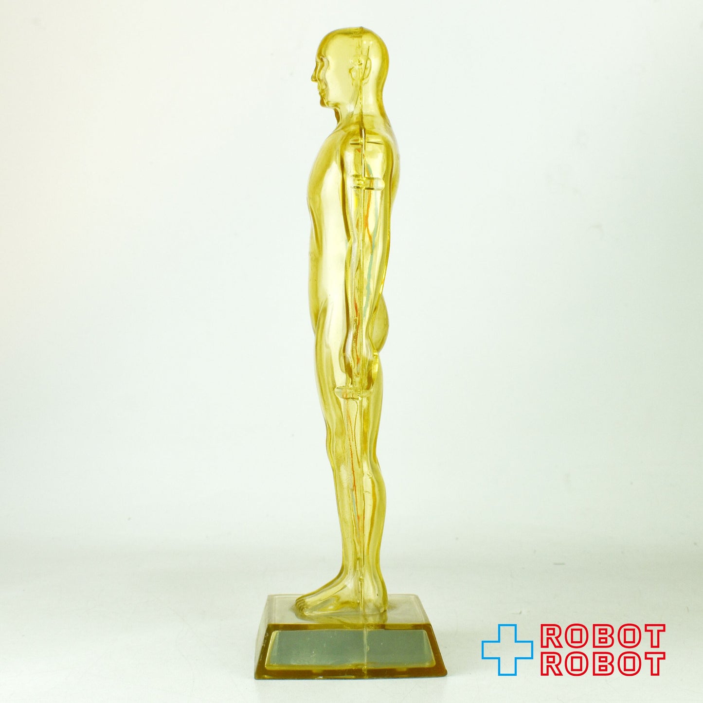 メルクアンドカンパニー DIURIL クリア人体模型 血管有りver アドバタイジング ディスプレイ フィギュア 1959