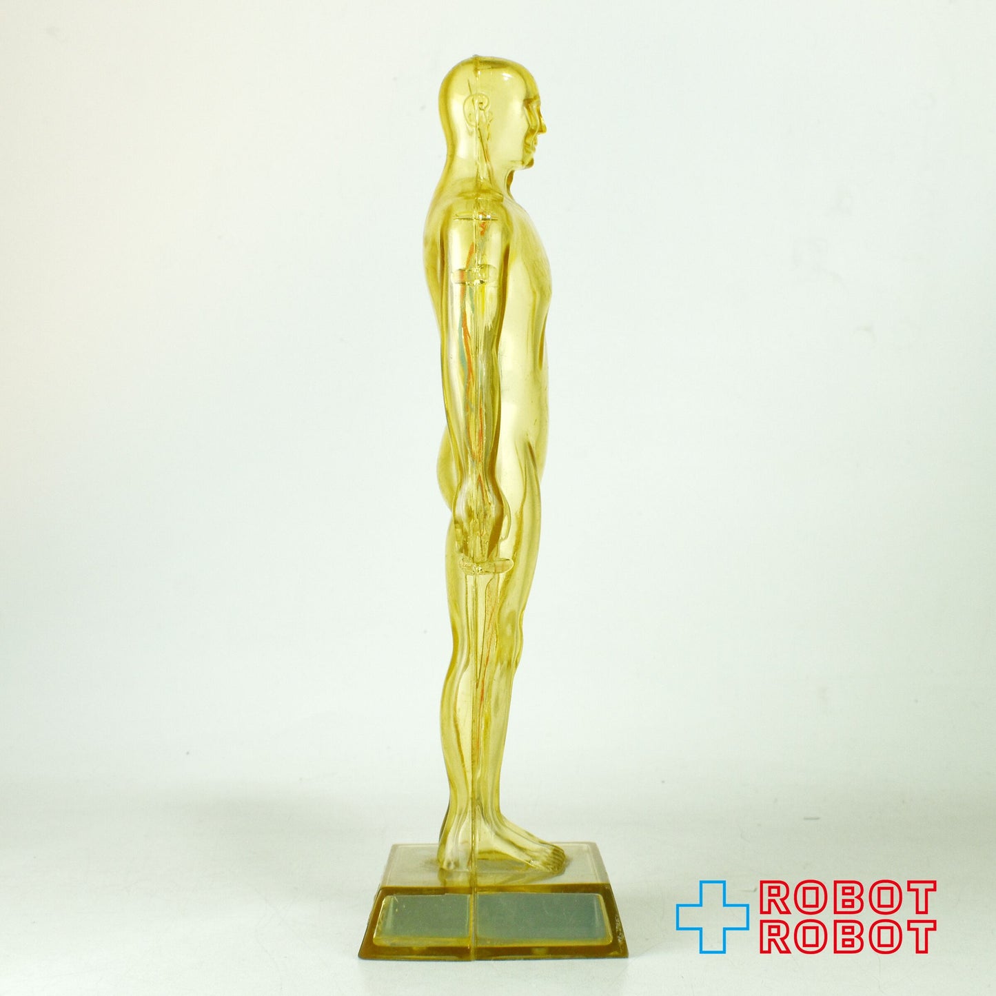 メルクアンドカンパニー DIURIL クリア人体模型 血管有りver アドバタイジング ディスプレイ フィギュア 1959