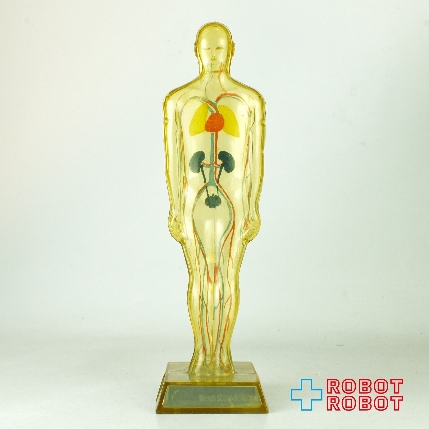 メルクアンドカンパニー DIURIL クリア人体模型 血管有りver アドバタイジング ディスプレイ フィギュア 1959