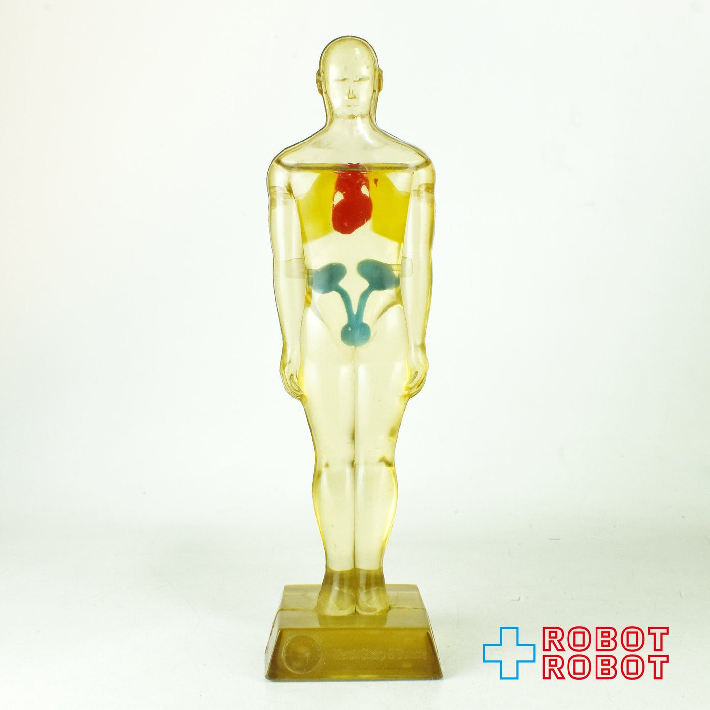 メルクアンドカンパニー DIURIL クリア人体模型 アドバタイジング ディスプレイ フィギュア 1958