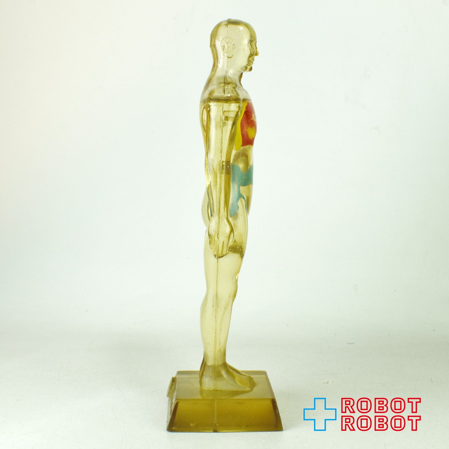 メルクアンドカンパニー DIURIL クリア人体模型 アドバタイジング ディスプレイ フィギュア 1958