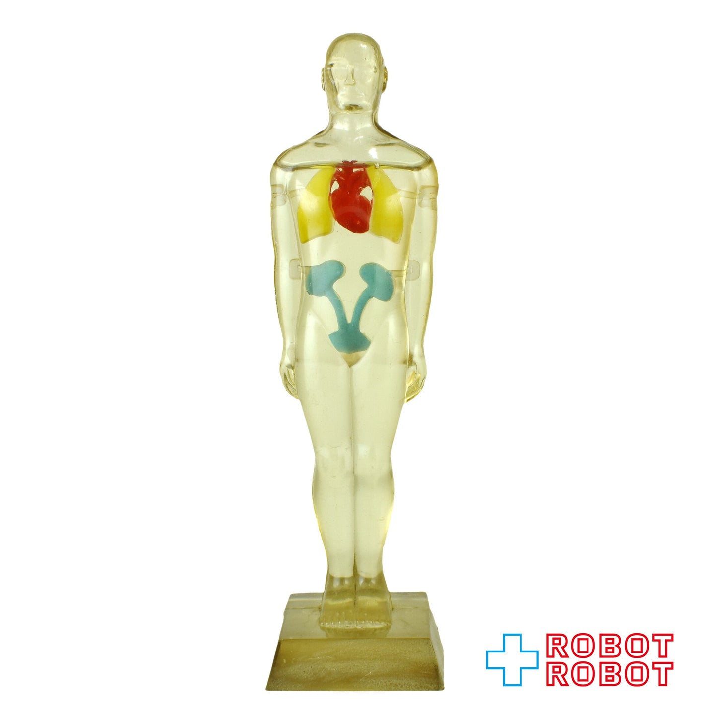 メルクアンドカンパニー DIURIL クリア人体模型 アドバタイジング ディスプレイ フィギュア 1958