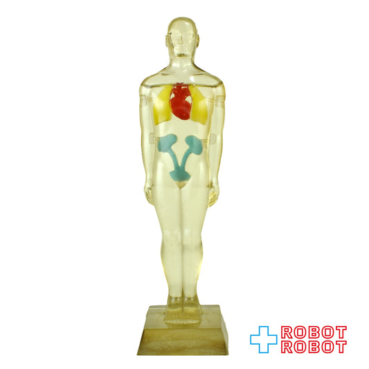 メルクアンドカンパニー DIURIL クリア人体模型 アドバタイジング ディスプレイ フィギュア 1958