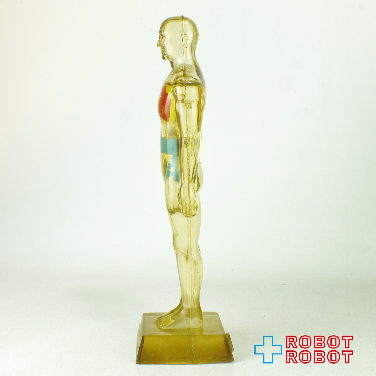 メルクアンドカンパニー DIURIL クリア人体模型 アドバタイジング ディスプレイ フィギュア 1958