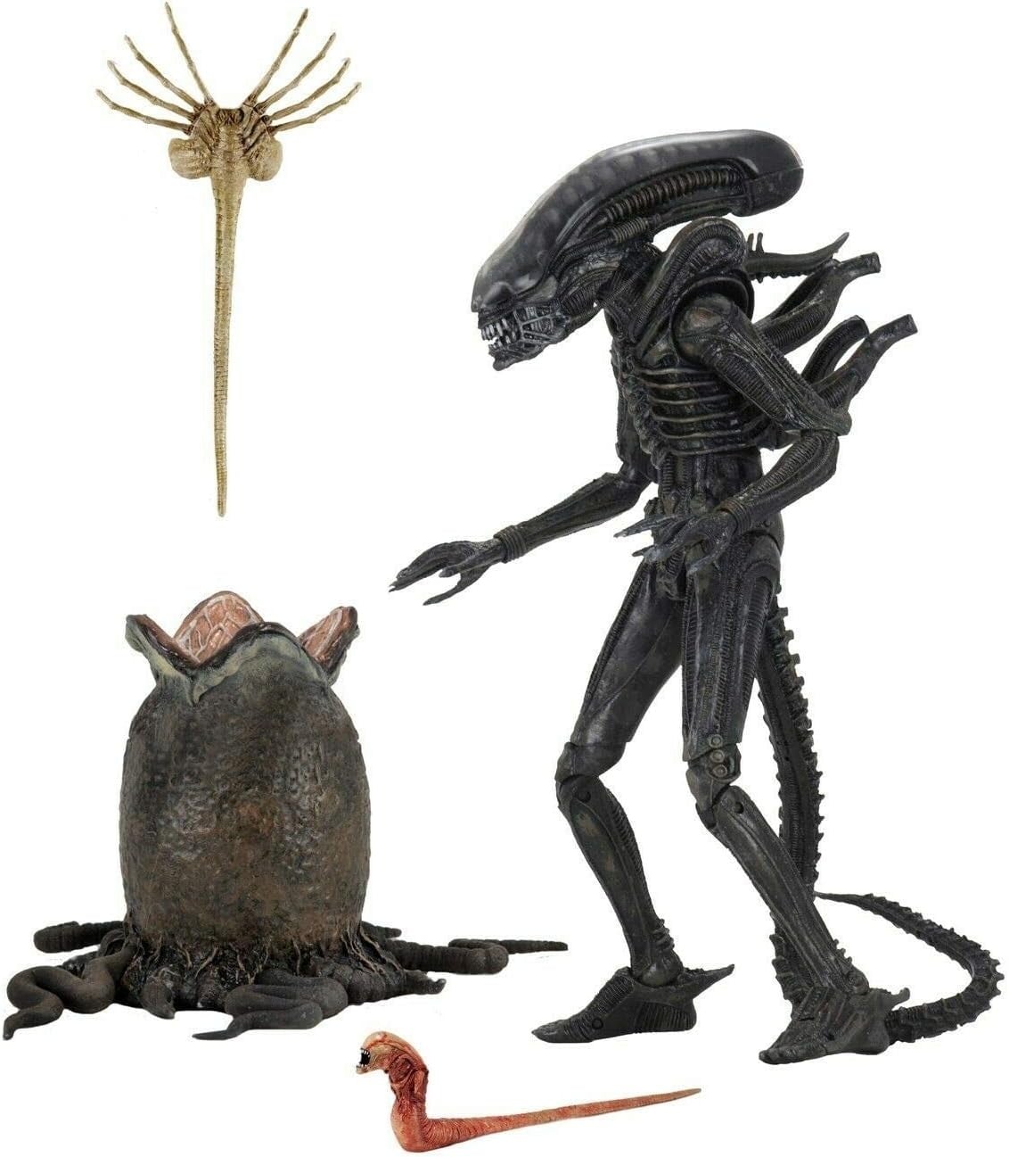 ネカ エイリアン 40th アニバーサリー エイリアン ビッグチャップ 7インチ アルティメット 7インチ アクションフィギュア 未開封 - ROBOTROBOT