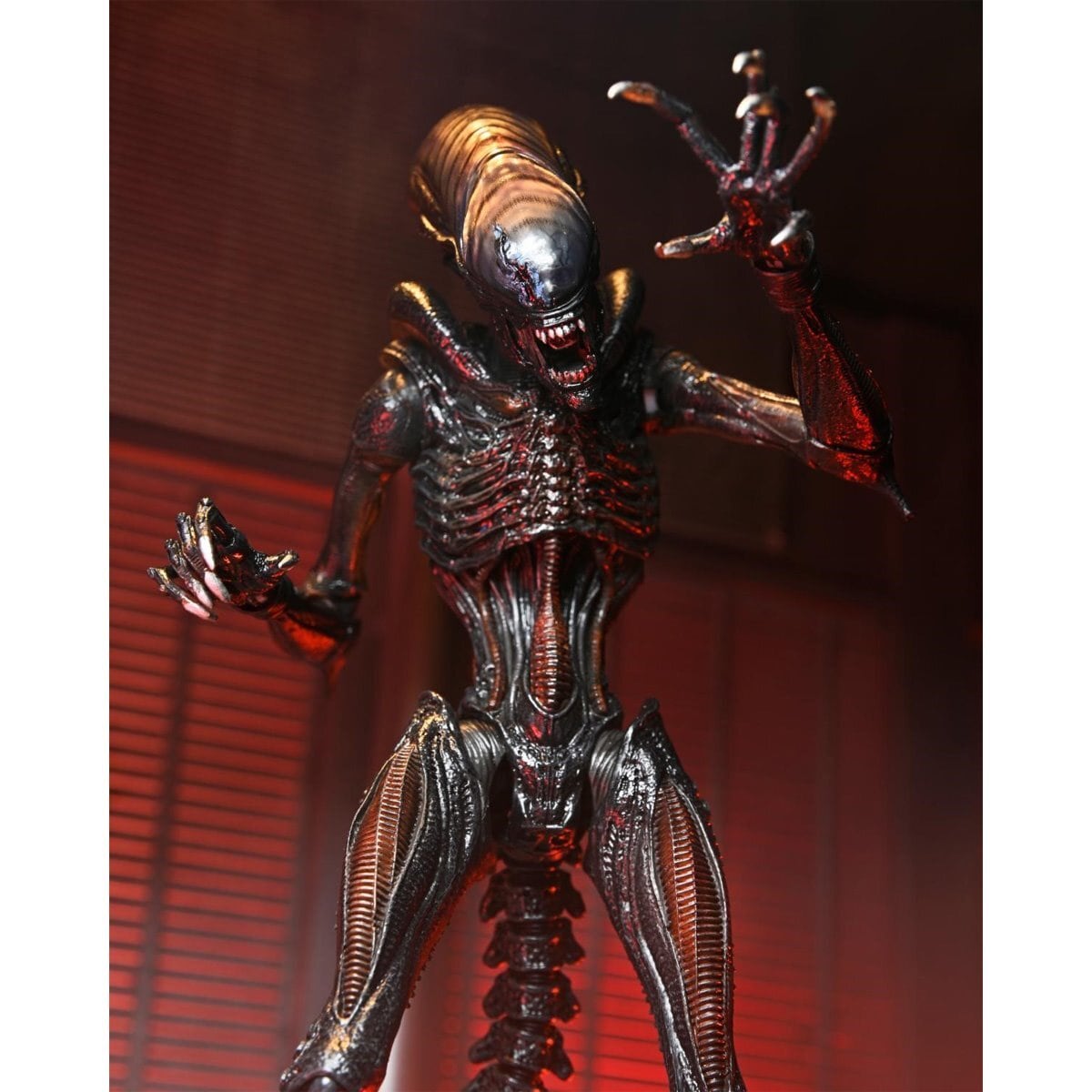 Amazon.com: NECA Aliens Series 7 Concept 79' Action Figure