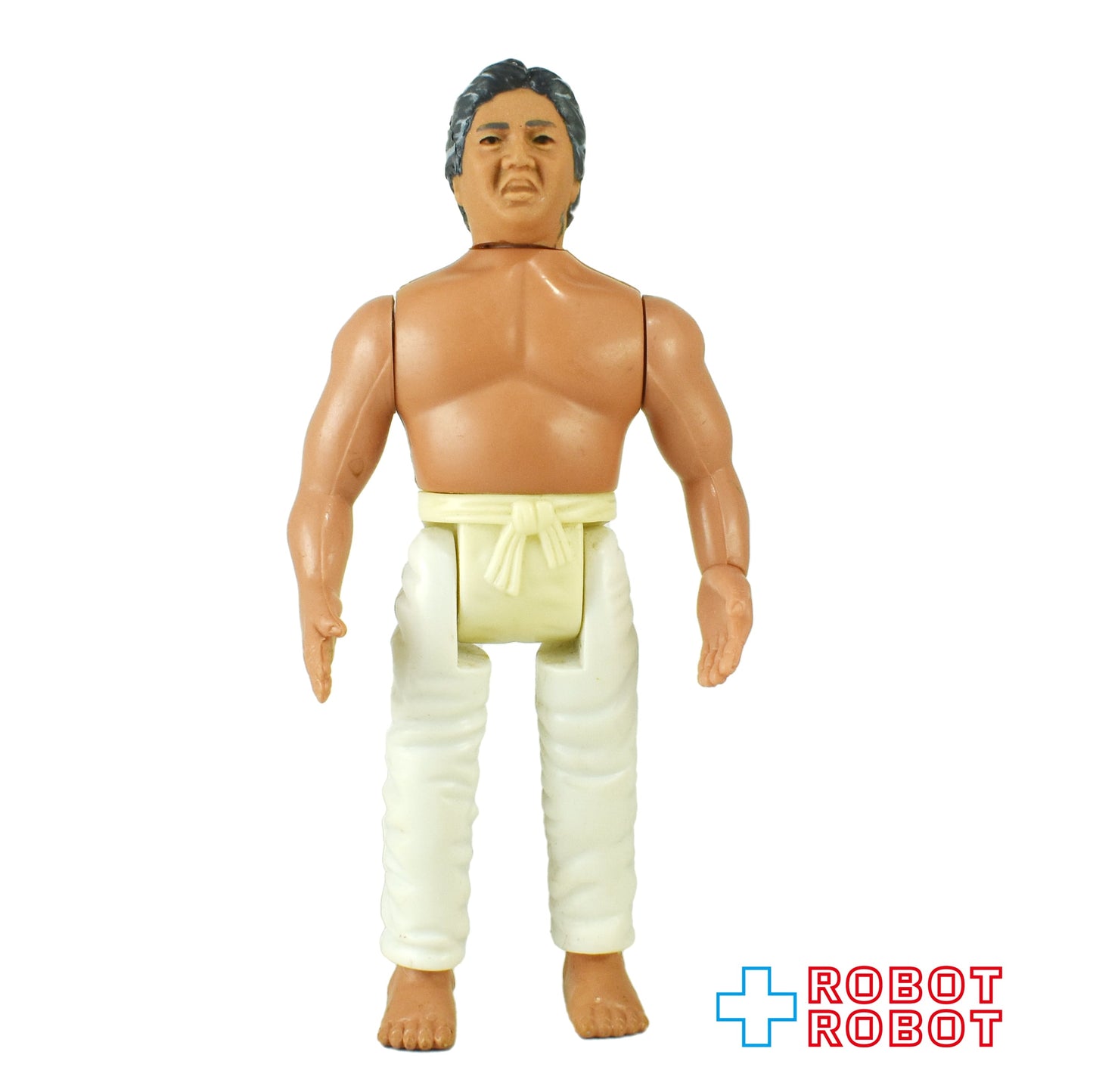 レムコ ベストキッド ( カラテキッド ) サトウ  アクションフィギュア