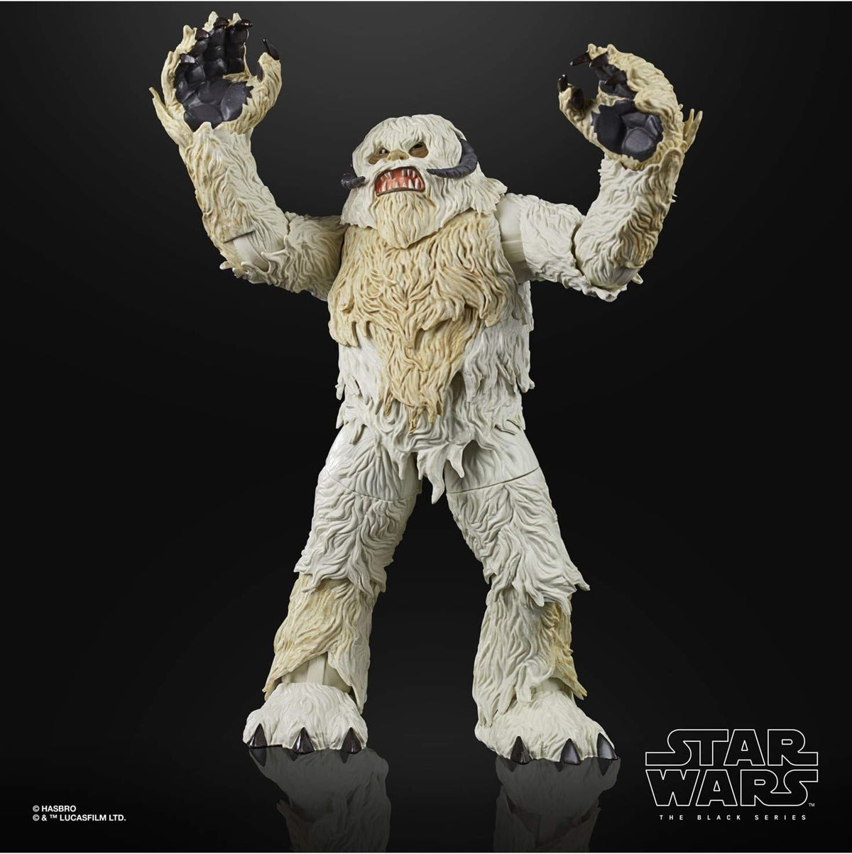 スター・ウォーズ ブラックシリーズ 限定 2020 ワンパ. [ESB] 6インチフィギュア