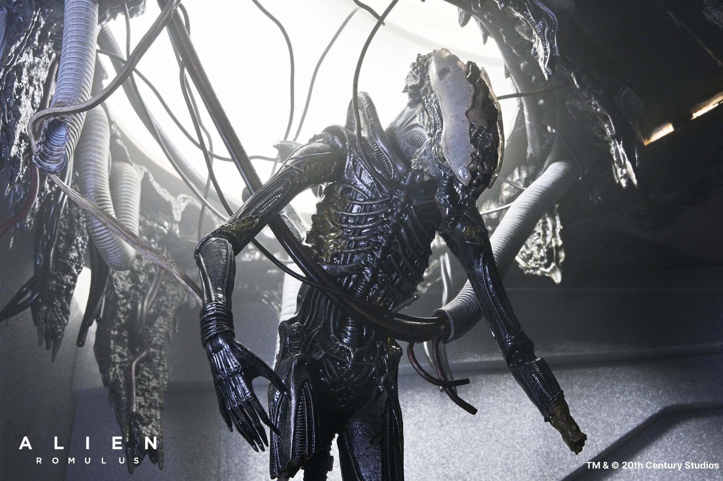 ネカ エイリアン ロムルス ゼノモーフ XX121 サスペンデッド・ラボ DX 7インチ アクションフィギュア 未開封