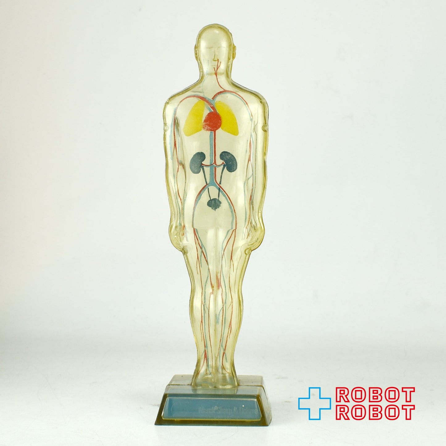 メルクアンドカンパニー DIURIL クリア人体模型 血管有りver アドバタイジング ディスプレイ フィギュア 1959
