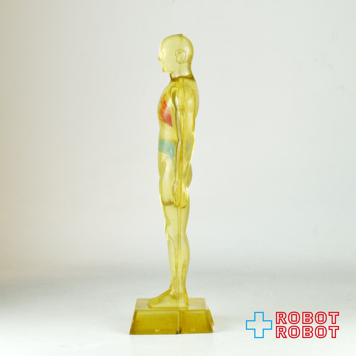 メルクアンドカンパニー DIURIL クリア人体模型 アドバタイジング ディスプレイ フィギュア 1958